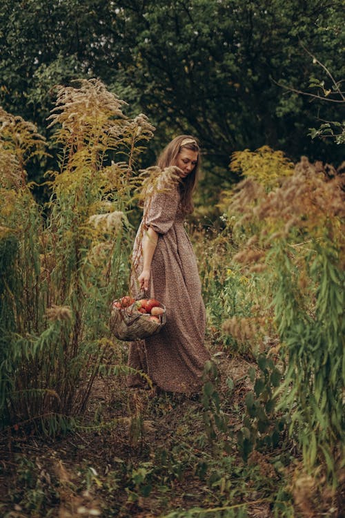 Full body female in long dress carrying wicker basket of apples standing in lush greenery