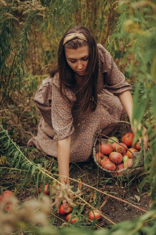 Young brunette in long traditional dress on ground with wicker basket of apples in field
