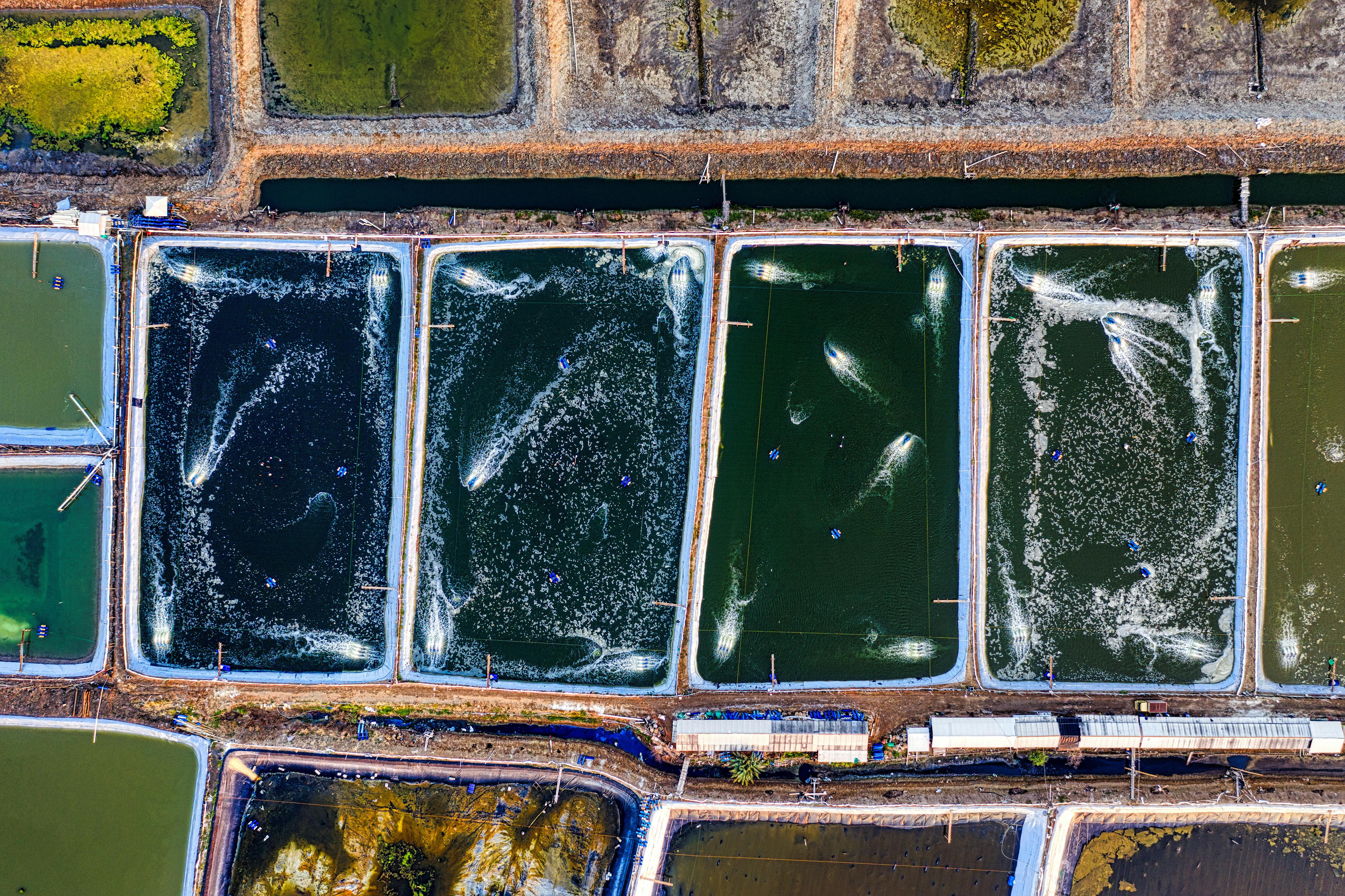 sistemas inteligentes para detectar fugas de agua con respuesta rápida