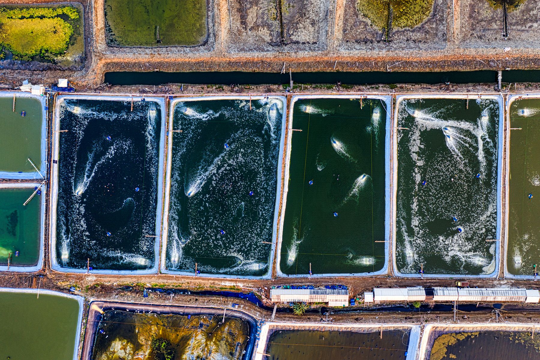 Fish farming ponds