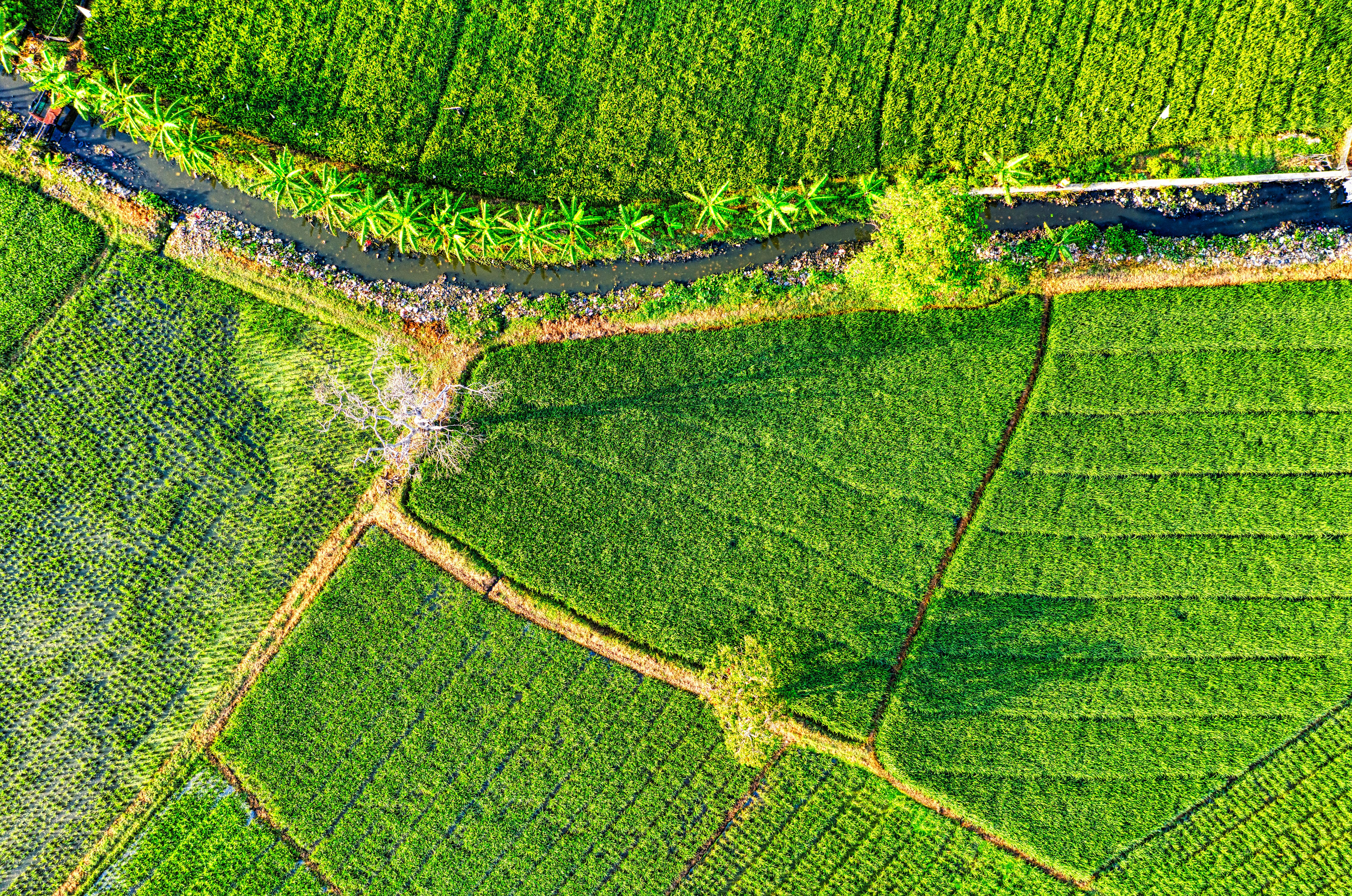 Year-end financial planning for farmers — Photo by Tom Fisk on Pexels