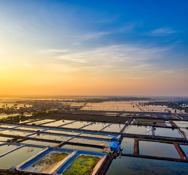 Fish Farm With Ponds Under Colorful Sky At Sunset