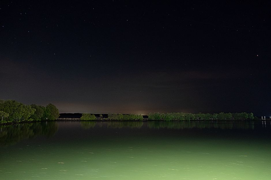 Randonnée nocturne aux lucioles de Lombok (Synchronous Fireflies)