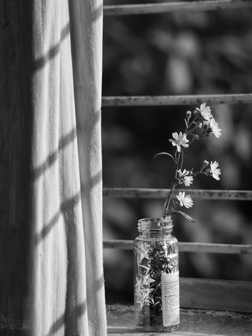 Free Grayscale Photo of Flowers in a Glass Bottle Stock Photo