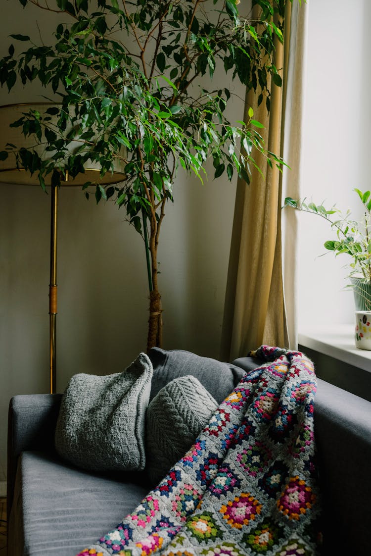 Home Interior With Sofa And Plants In Room