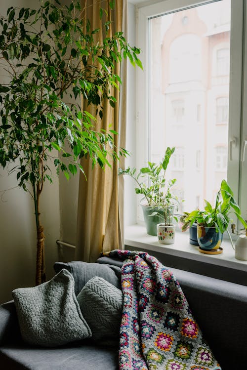 Photos gratuites de à l'intérieur, à la maison, canapé