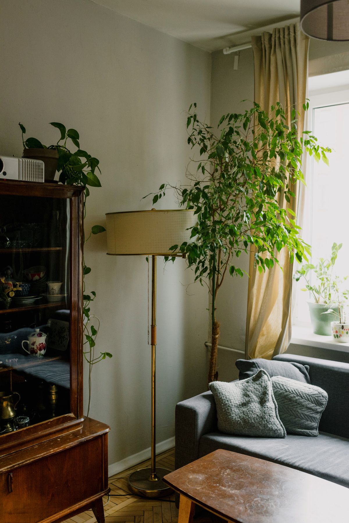 Sala com plantas verdes, sofá e luz natural mostrando biofilia em casa