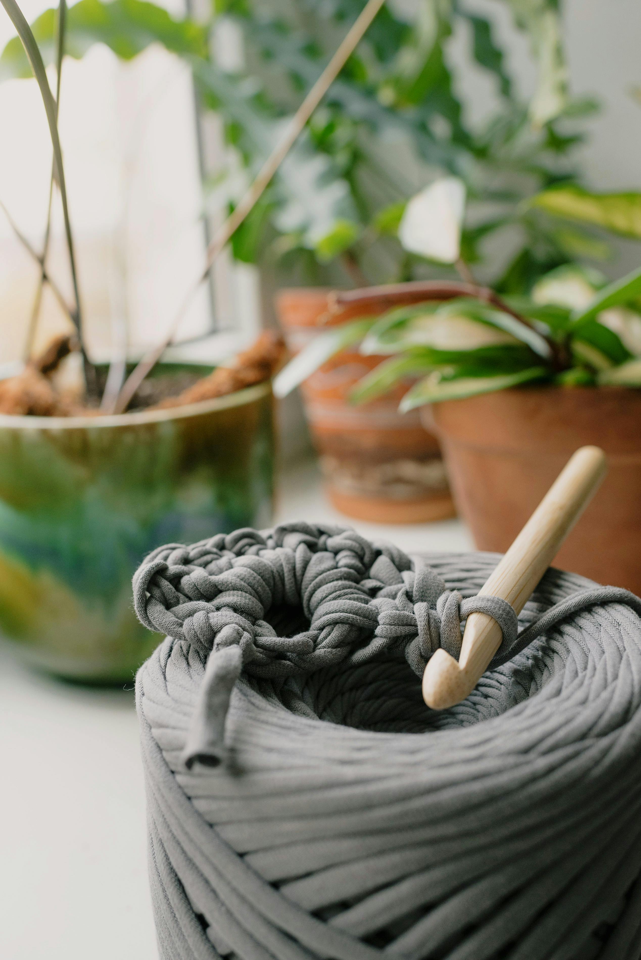 A serene indoor setup featuring yarn, a crochet hook, and vibrant potted plants.