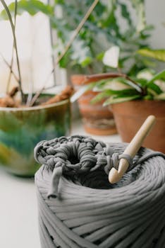 A serene indoor setup featuring yarn, a crochet hook, and vibrant potted plants.