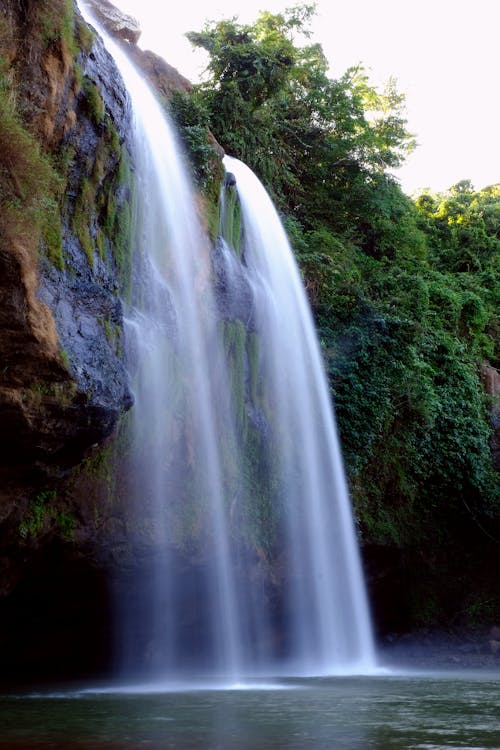 Безкоштовне стокове фото на тему «водоспади, дерева, довга експозиція»