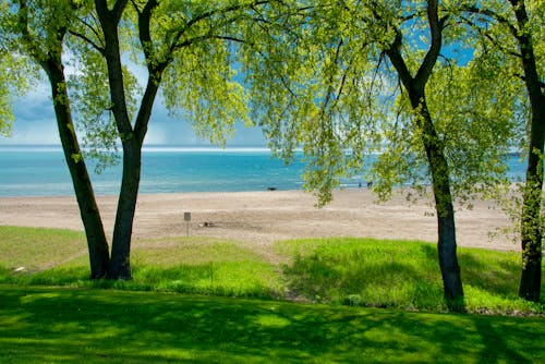 Immagine gratuita di acqua, alberi, lago