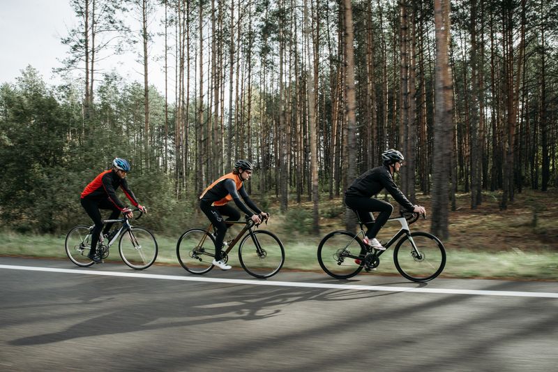 Group of cyclists riding along a scenic road with lush forest backdrop, enjoying a sunny outdoor adventure.