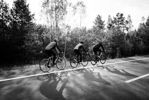 Free Three cyclists riding on a forest road in a black and white photograph. Stock Photo