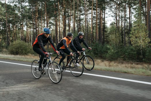 Three cyclists pedal on a forest road, engaging in outdoor sports and recreation.