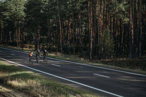 Free Three cyclists enjoying a ride through a peaceful forest road during daytime. Stock Photo