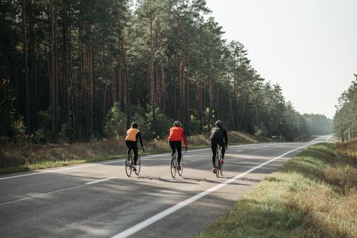 Free Three cyclists ride through a sunlit forest road, embracing outdoor recreation and leisure. Stock Photo