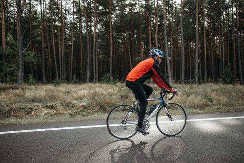 Free A cyclist in a red jacket rides through a forested area on a sunny day. Stock Photo