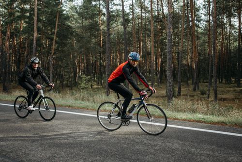Free Two cyclists riding along a road surrounded by a pine forest during the day. Stock Photo