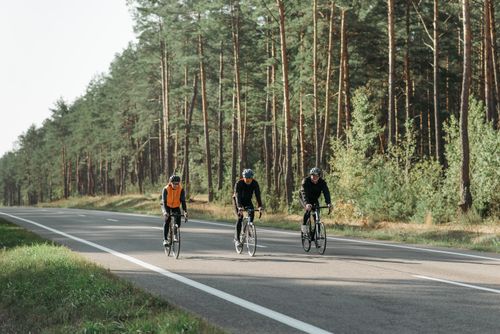 Free Three cyclists enjoying a ride on a peaceful forest highway during a sunny day. Stock Photo