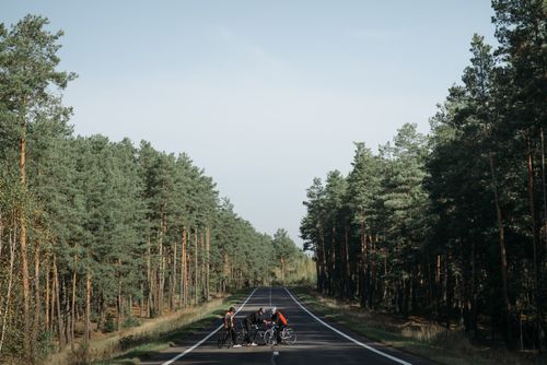 Free Group of cyclists resting on a quiet road in a forested countryside area. Stock Photo