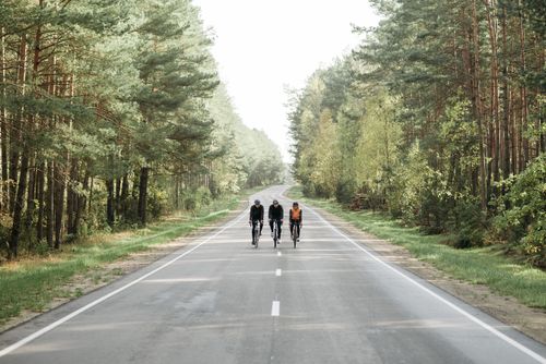 Free Three cyclists biking on a peaceful forest road, surrounded by lush greenery. Stock Photo