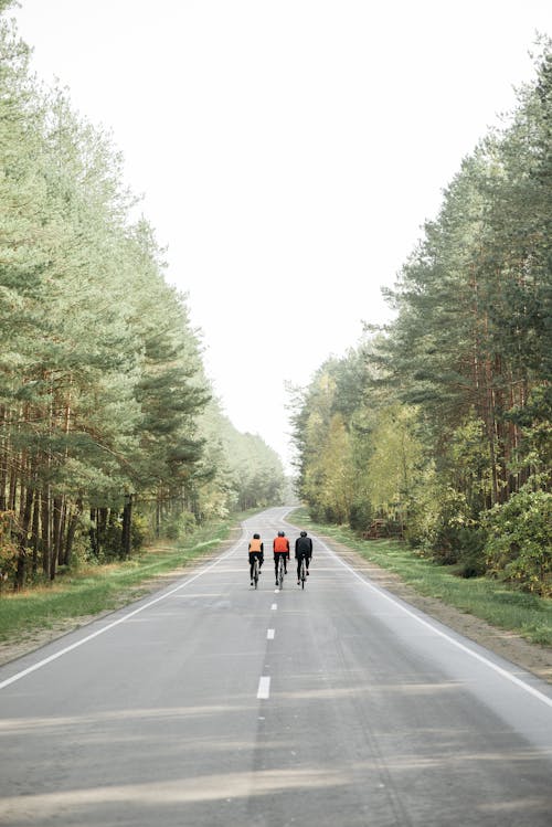 Foto profissional grátis de andando de bicicleta, ao ar livre, árvores