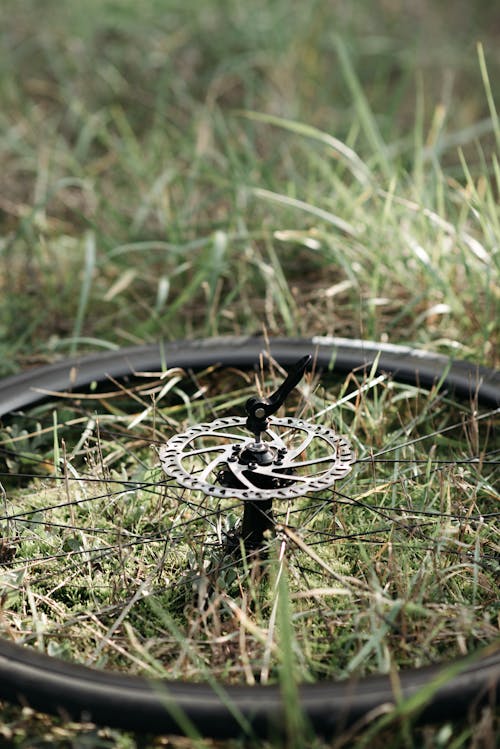 Free Bike Wheel on Grass Field  Stock Photo