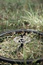 Bike Wheel on Grass Field
