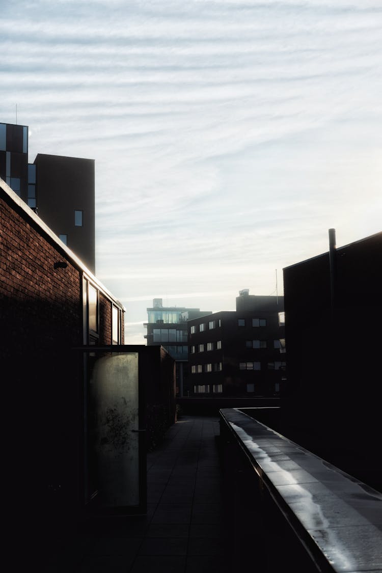 Brick Buildings After Rain