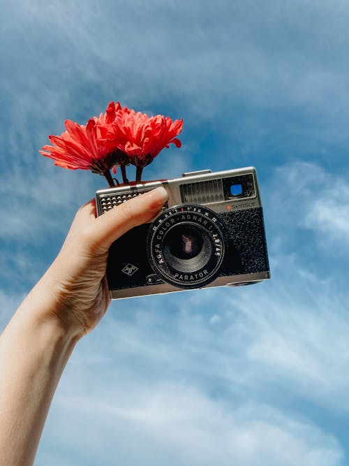 Free From below crop anonymous female photographer holding vintage photo camera with blooms against sky Stock Photo