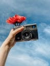 From below crop anonymous female photographer holding vintage photo camera with blooms against sky