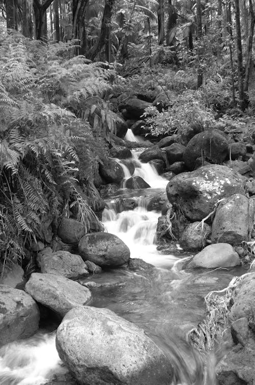 Foto profissional grátis de cachoeira, cascata