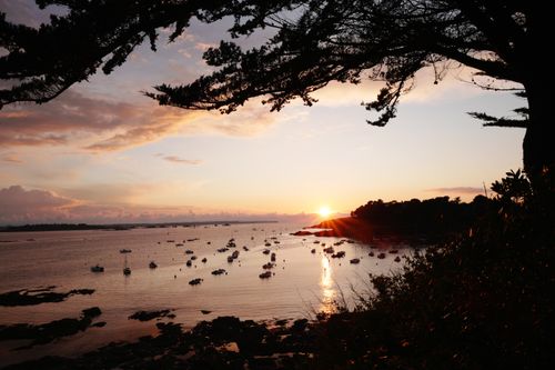 Free A tranquil sunset view with boats on the water and trees silhouetted in Brittany, France. Stock Photo