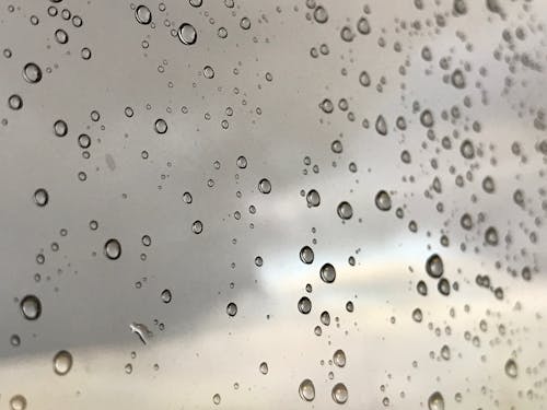 Free stock photo of rain drops