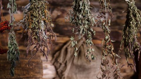 A rustic scene featuring a variety of dried herbs hanging indoors, showcasing natural textures.