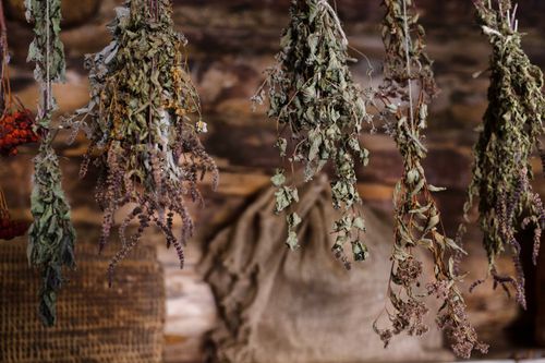 Free A rustic scene featuring a variety of dried herbs hanging indoors, showcasing natural textures. Stock Photo