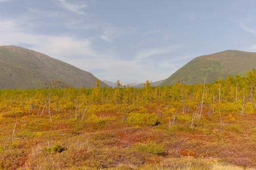 Mountains behind valley with green trees