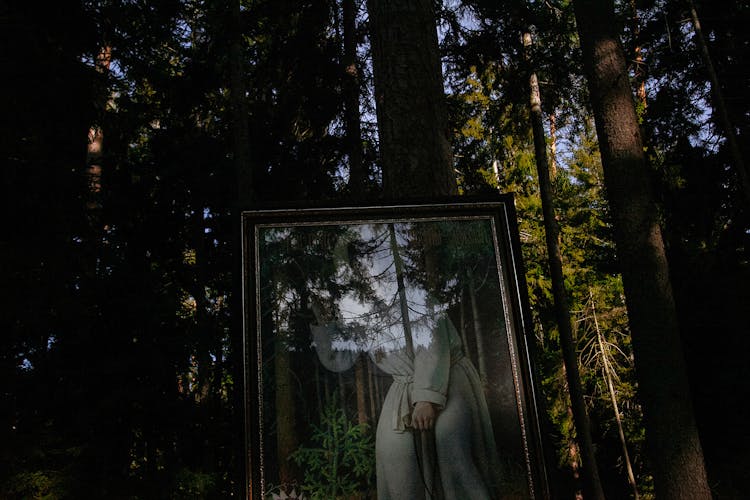 Picture In Frame In Green Forest