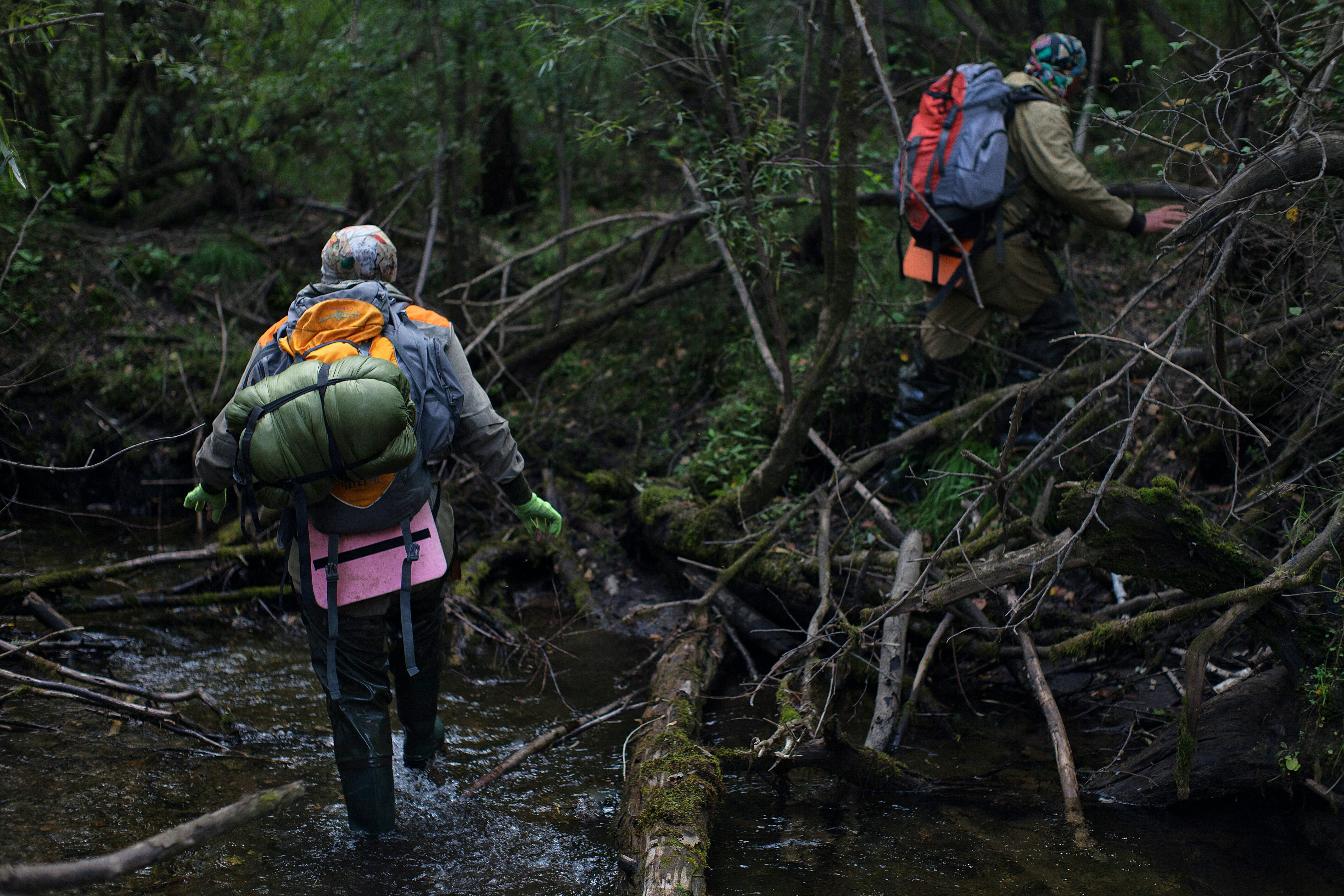 streaming discovery channel — Photo by Plato Terentev on Pexels