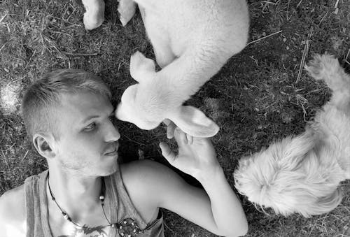 Free Grayscale Photo of Man Lying on Grass With Dogs  Stock Photo