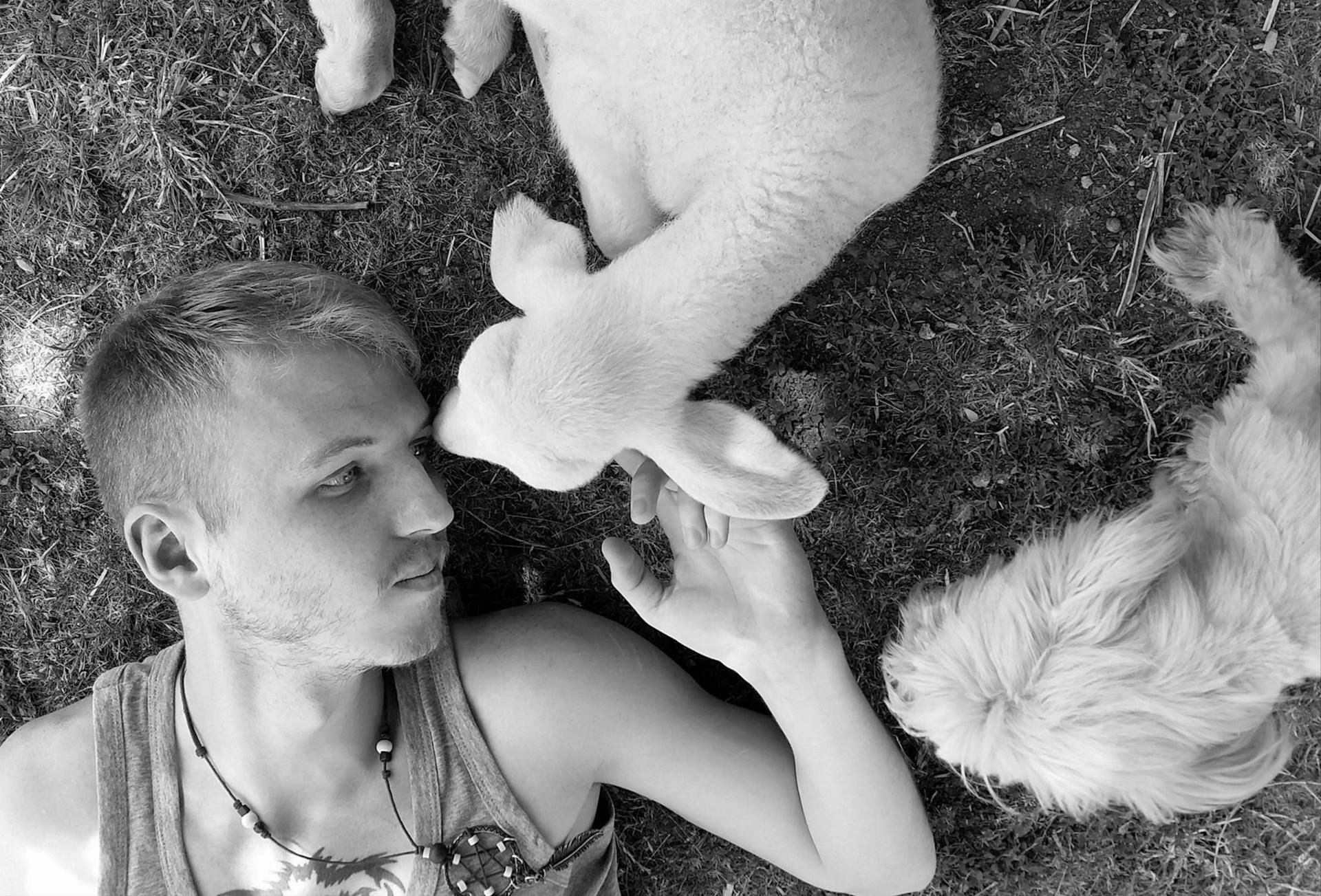 Grayscale Photo of Man Lying on Grass With Dogs