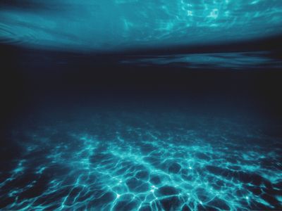 Deep-Sea Mining Scars Persist for Decades, Ecosystem Recovery Extremely Slow