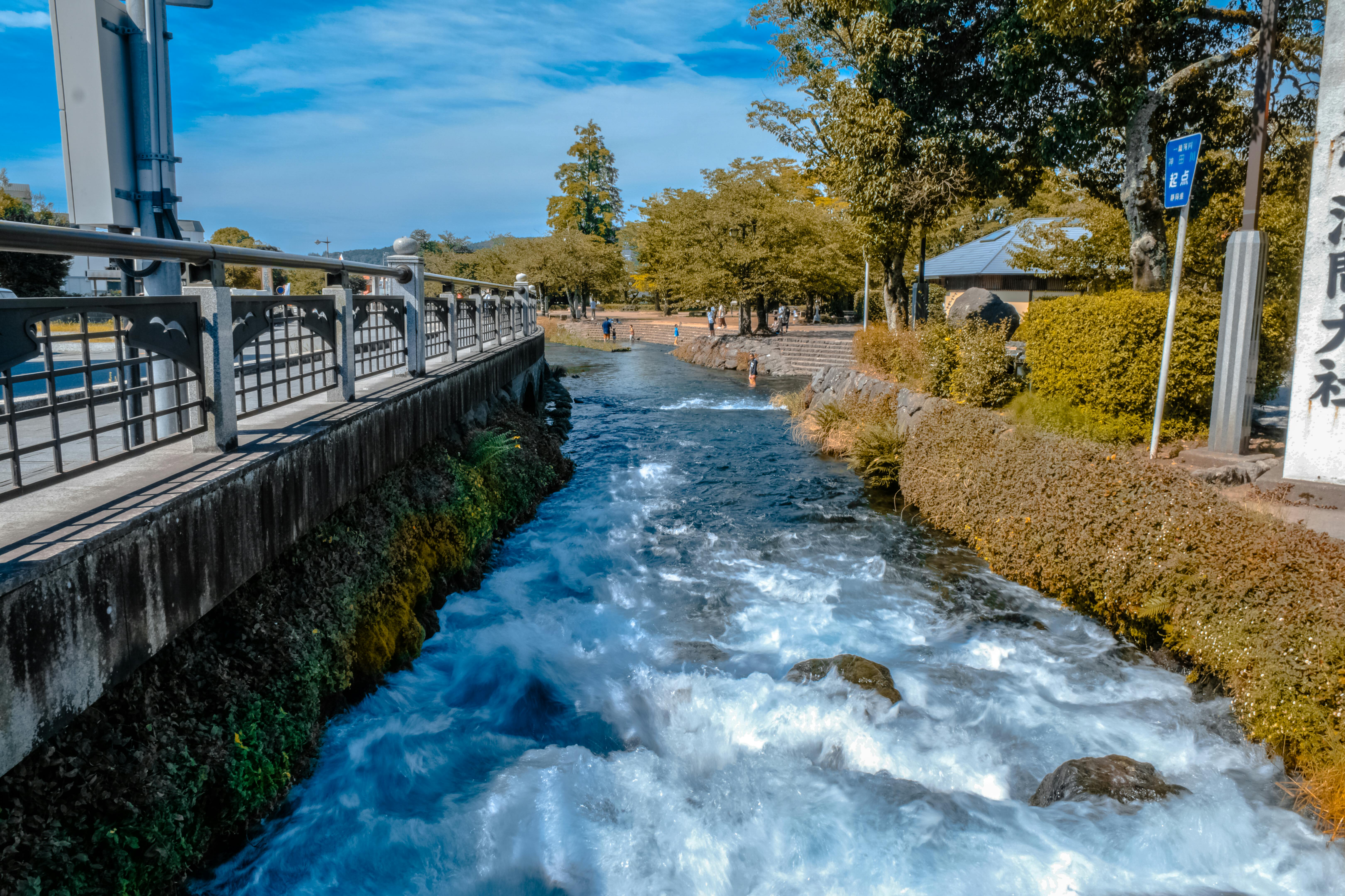 body of water between gray fence and green trees under blue sky