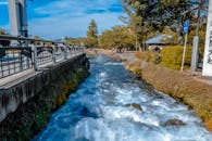夏天，一条多石的河流在公园旁流淌，河上有桥，两岸有树