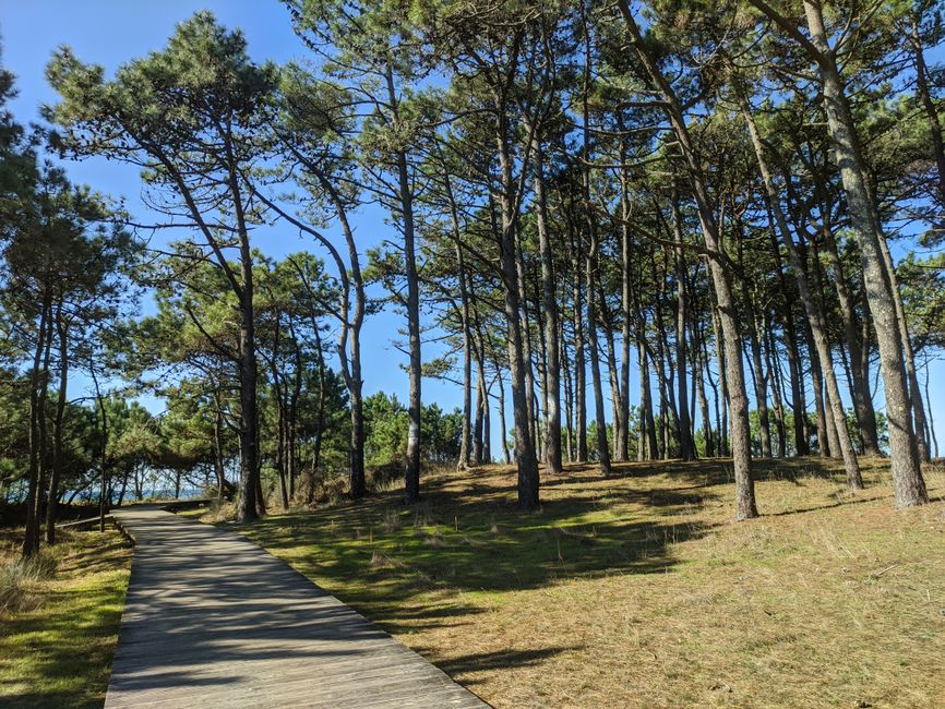 Fotos de Pontevedra, Pontevedra, Galicia