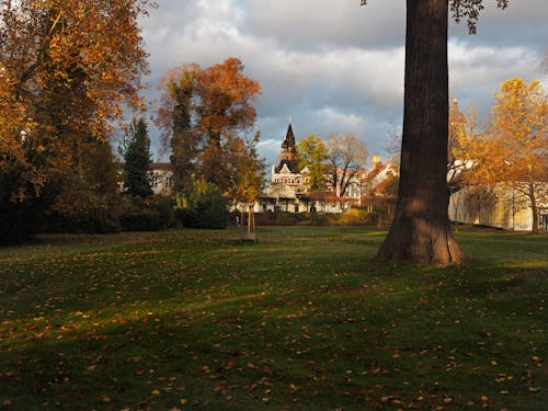 Free stock photo of autumn, idyllic, island