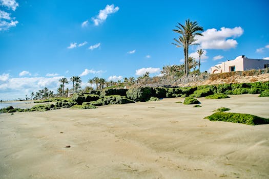 Scenic tropical beach with palm trees under a vibrant blue sky and sandy shore.