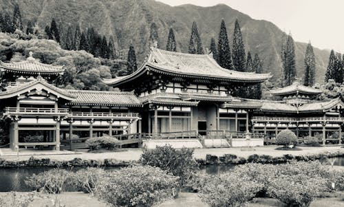 Бесплатное стоковое фото с архитектура, буддийский храм, гавайи