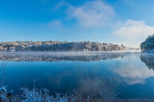 A Scenic Landscape of Blue Lake Near Snow Covered Trees