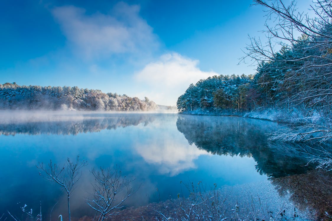 Immagine gratuita di acqua, alberi, cielo azzurro